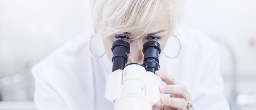 laboratoire-insphy-catherine-py